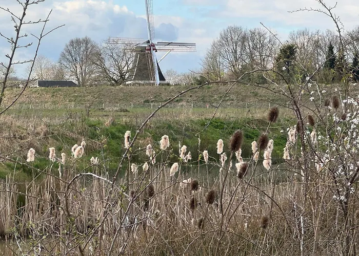De Laarakker Σπίτι διακοπών