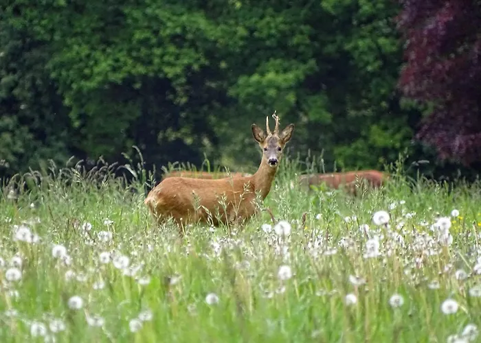 De Laarakker Σπίτι διακοπών Haps